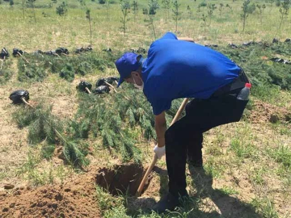 澳门料澳天天