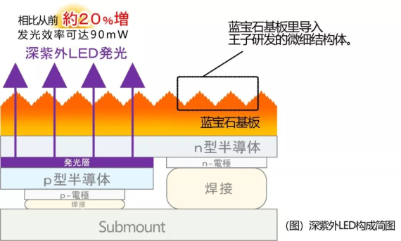 澳门料澳天天