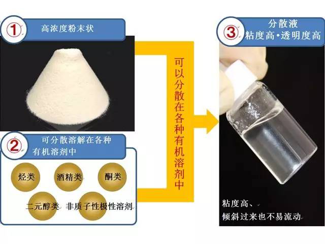 澳门料澳天天